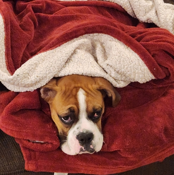 Meet your Posher, Sally - Picture 6 of 10